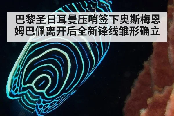 巴黎圣日耳曼压哨签下奥斯梅恩 姆巴佩离开后全新锋线雏形确立